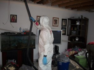 Mold Removal & Remediation Knoxville